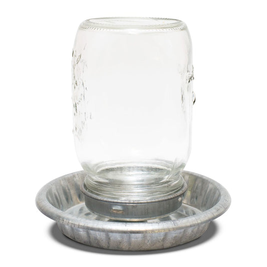 Bainbridge Galvanised Poultry Drinker with Glass Mason Jar 1L (100000048987) [default_color]