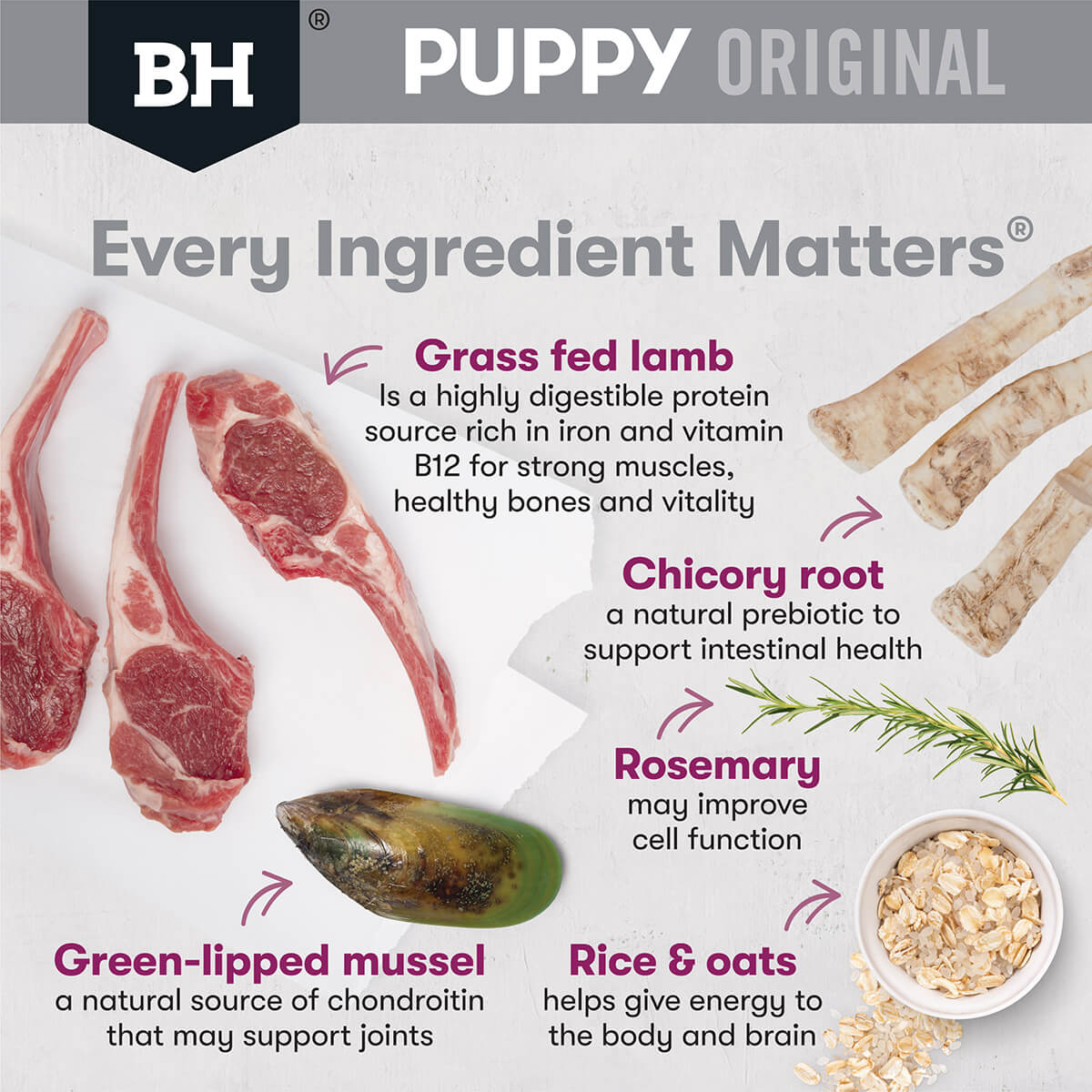 Black Hawk Puppy Lamb & Rice Large Breed Dog Food (100000059933) [default_color]