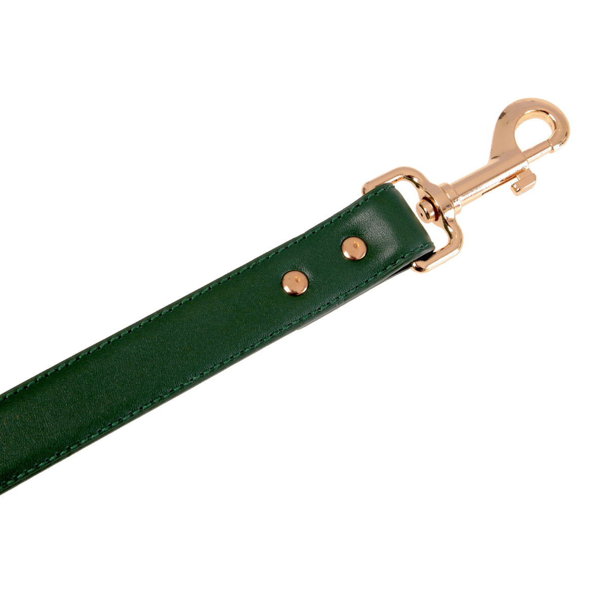 Buddy & Belle Leather Lead One Size Bottle Green