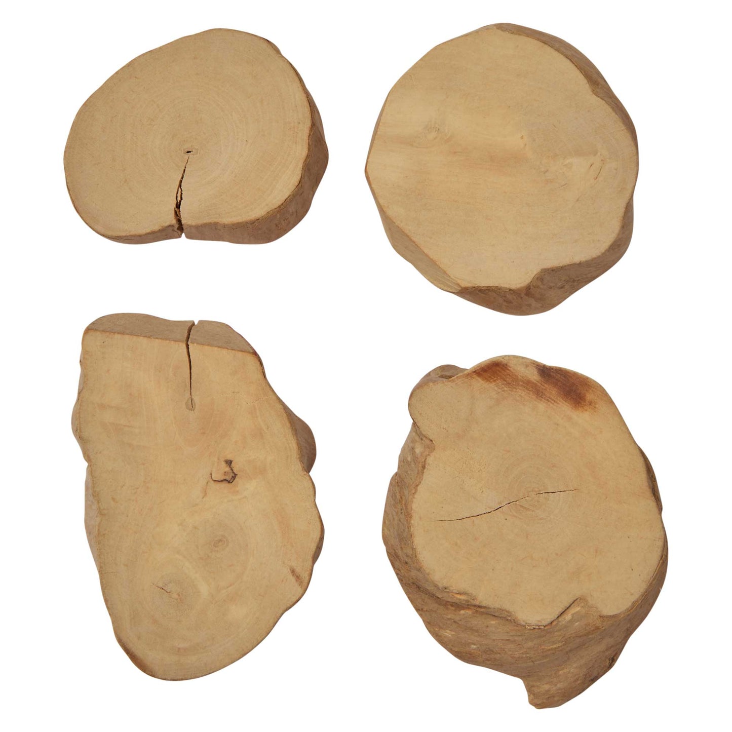 Nibble & Squeek Coffeewood Disc Chews Small Animal Toy 4pk