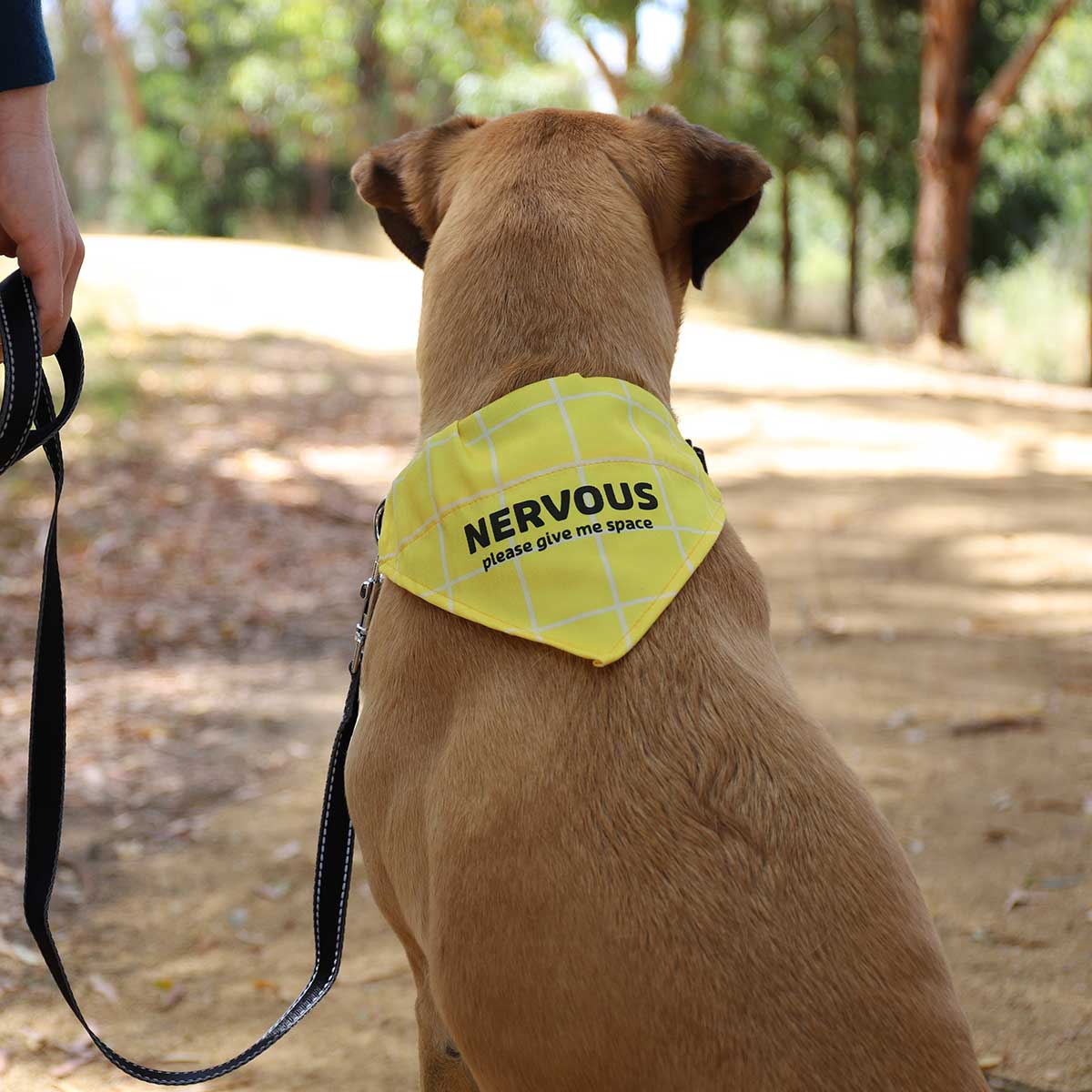 Petstock Foundation Awareness Bandana Nervous