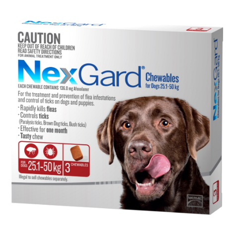 Nexgard Flea & Tick Treatment 25.1-50kg Dog (122613000111) [default_color]