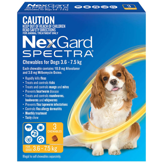 Nexgard Spectra Flea, Tick & Worming Chews 3.6-7.5kg Dog (122613000258) [default_color]