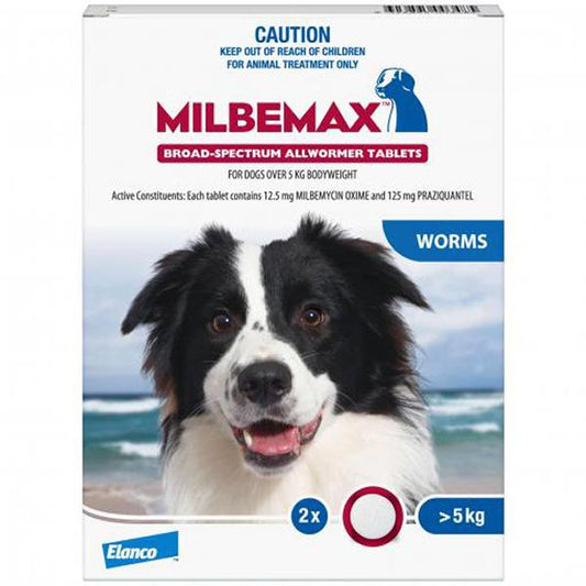 Milbemax Allwormer >5kg Dog 2pk (122614000023) [default_color]