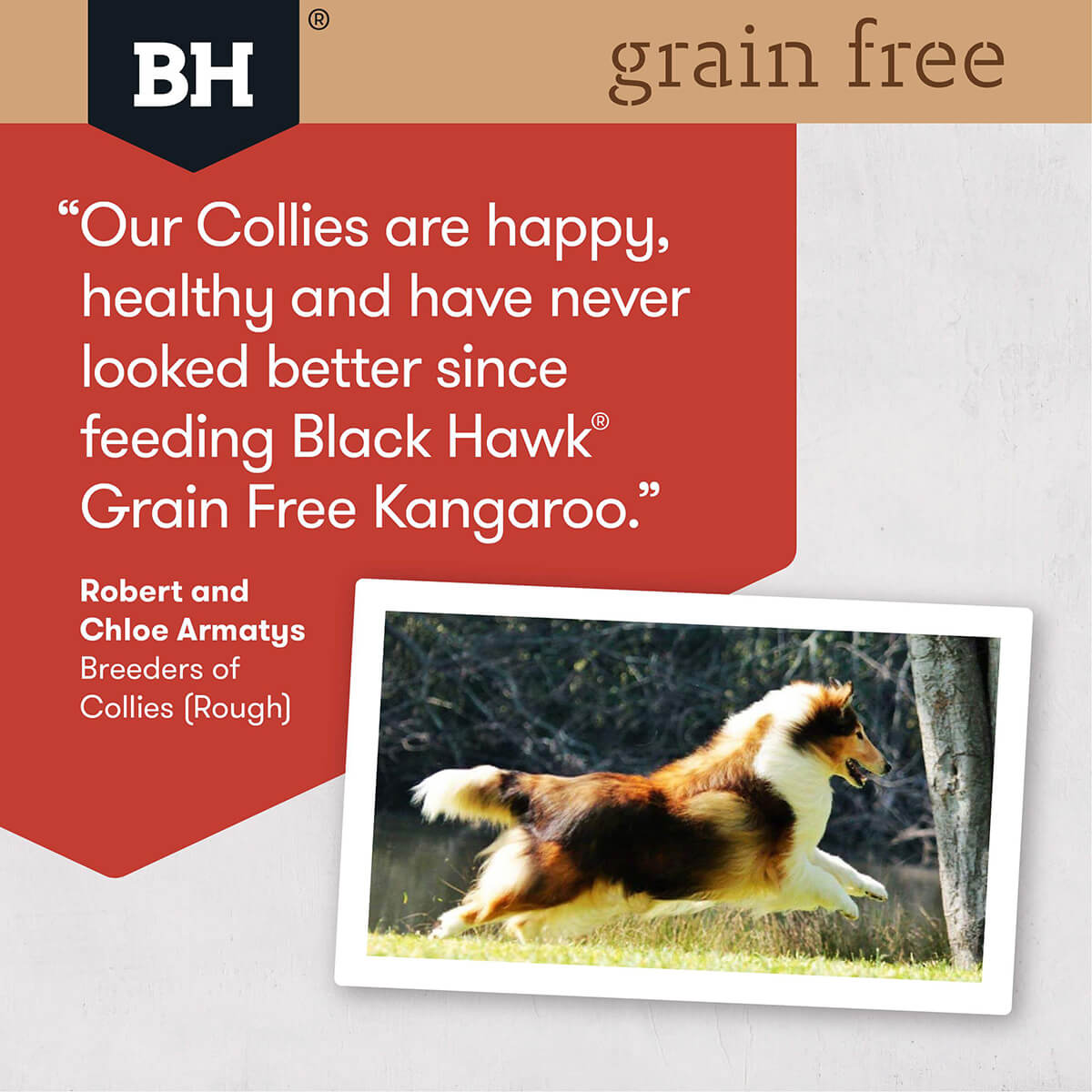 Black Hawk Grain Free Adult Kangaroo Dry Dog Food (122713000033) [default_color]