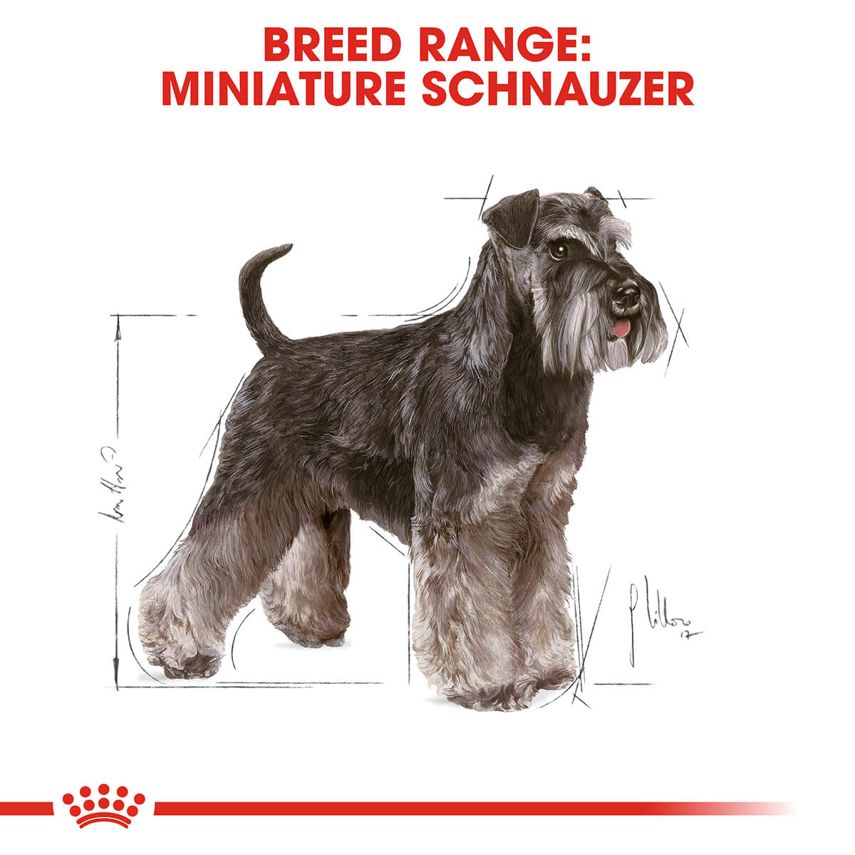 Royal Canin Miniature Schnauzer Adult Dry Dog Food (122725000030) [default_color]