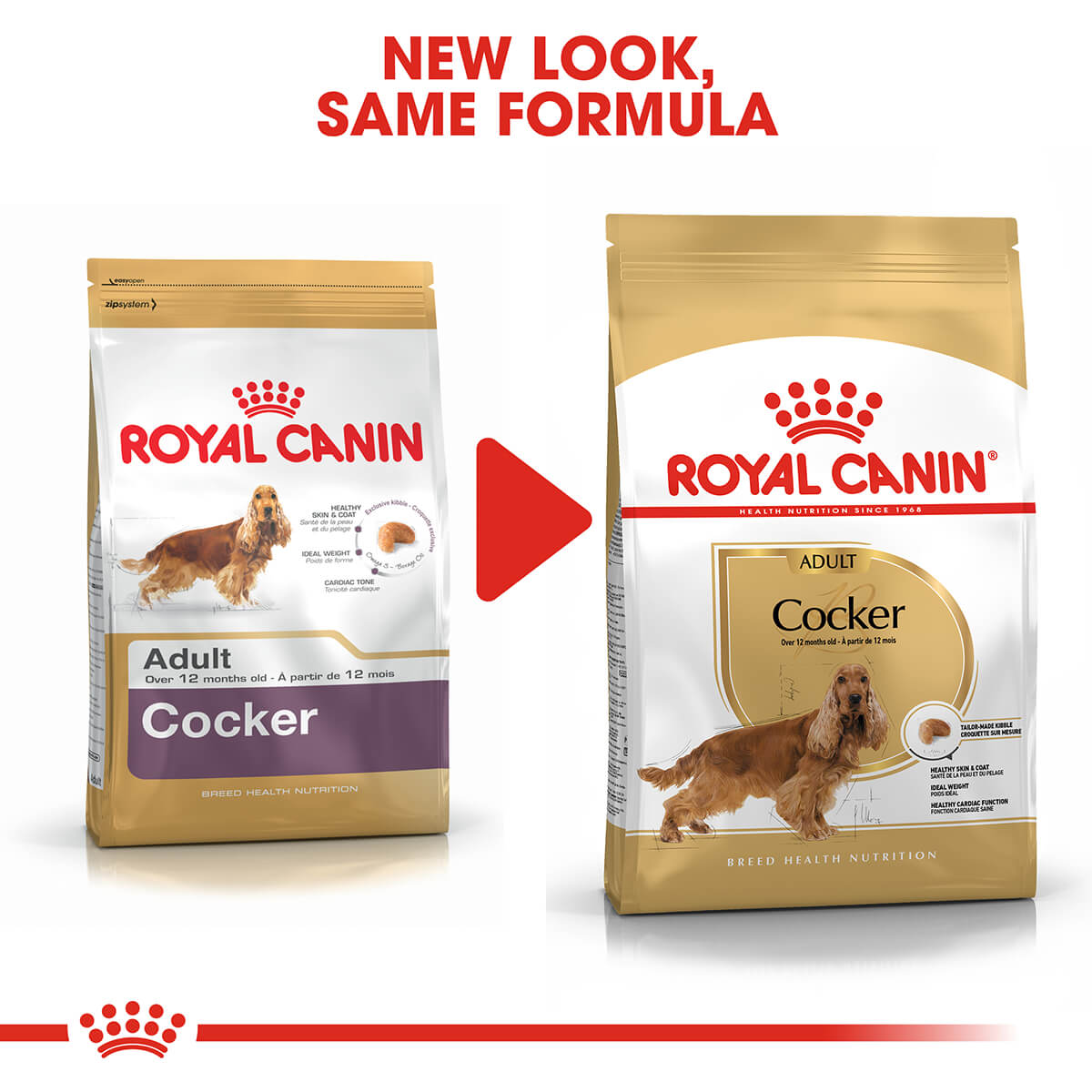 Royal Canin Cocker Spaniel Adult Dry Dog Food (122725000036) [default_color]