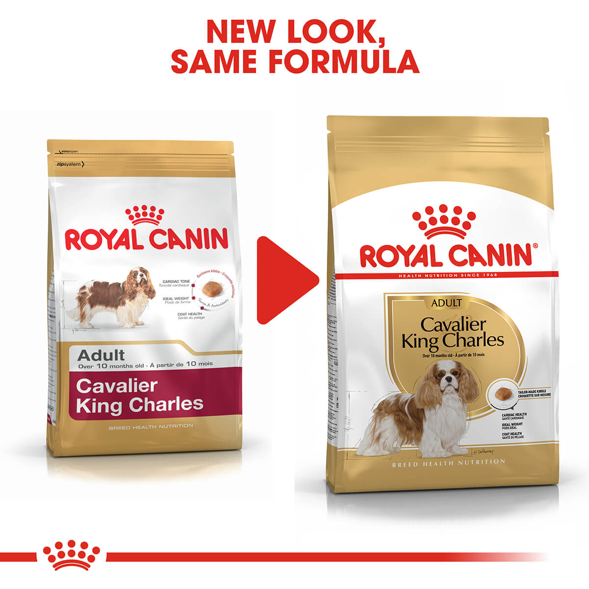 Royal Canin Cavalier King Charles Adult Dry Dog Food (122725000044) [default_color]