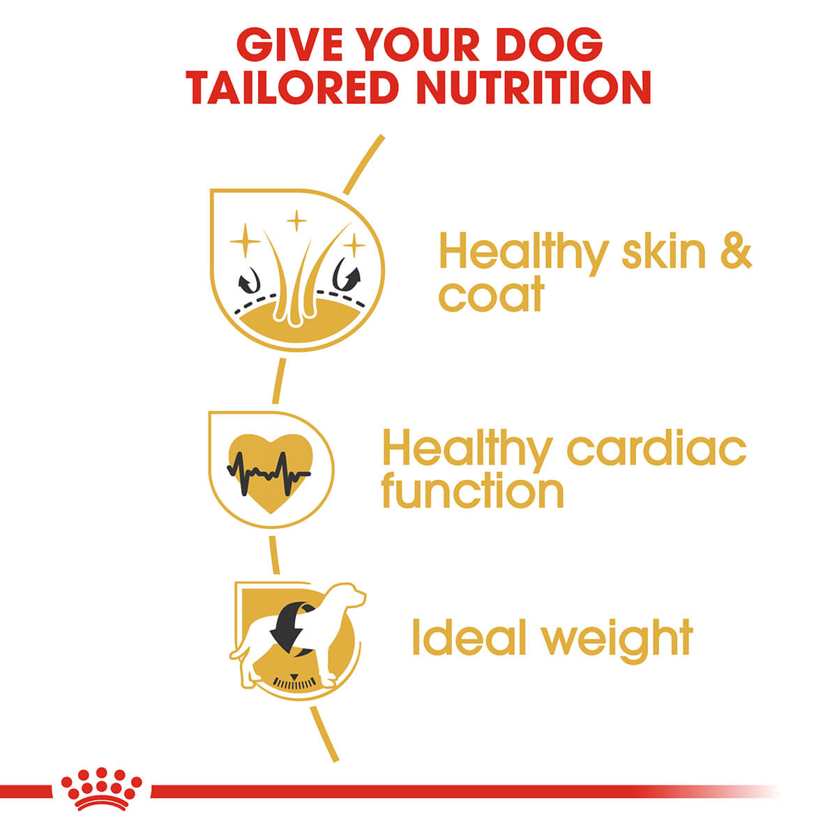 Royal Canin Golden Retriever Adult Dry Dog Food 12kg (122725000045) [default_color]