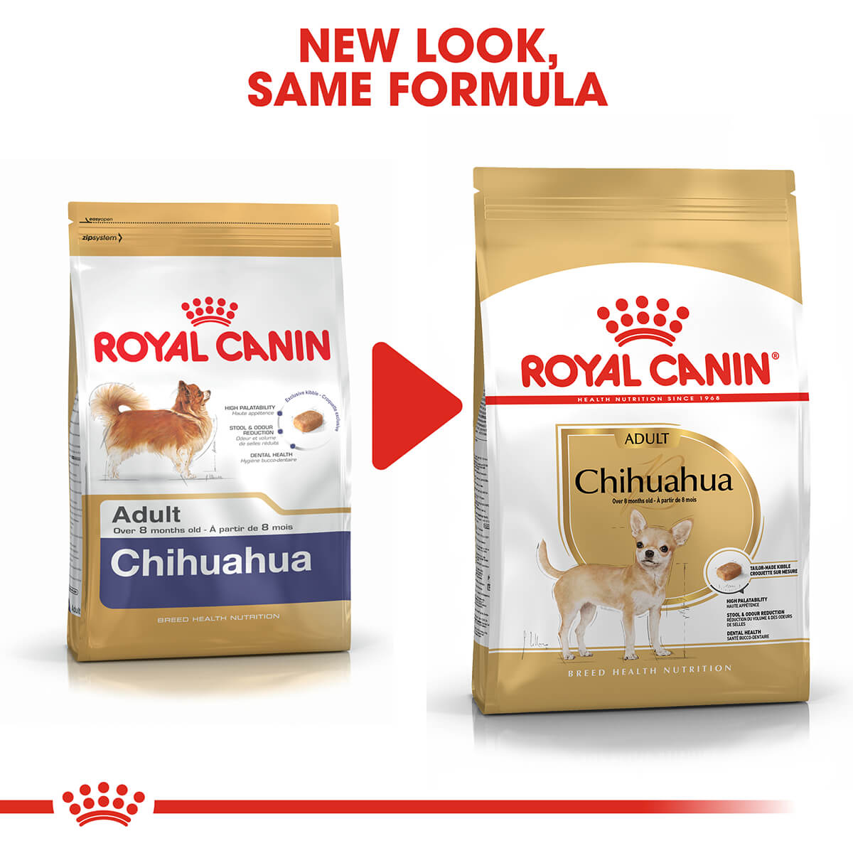 Royal Canin Chihuahua Adult Dry Dog Food 1.5kg (122725000054) [default_color]