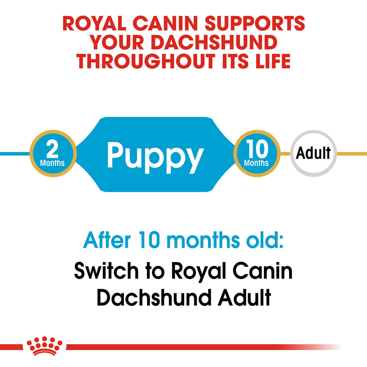 Royal Canin Dachshund Puppy Dry Dog Food 1.5kg (122725000056) [default_color]
