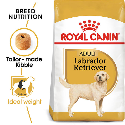 Royal Canin Labrador Retriever Adult Chicken Dry Dog Food (122725000069) [default_color]