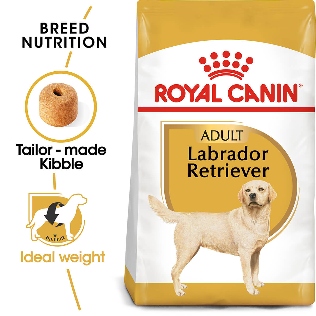 Royal Canin Labrador Retriever Adult Chicken Dry Dog Food (122725000078) [default_color]