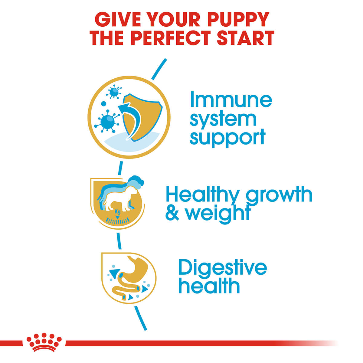 Royal Canin Labrador Retriever Puppy Dry Dog Food (122725000104) [default_color]