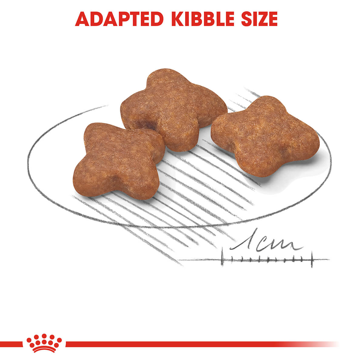 Royal Canin Mini Adult 8+ Dry Dog Food 2kg (122725000124) [default_color]