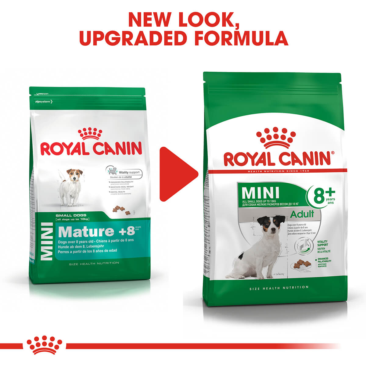 Royal Canin Mini Adult 8+ Dry Dog Food 2kg (122725000124) [default_color]