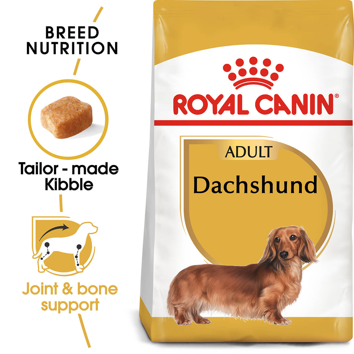 Royal Canin Dachshund Adult Dry Dog Food (122725000150) [default_color]