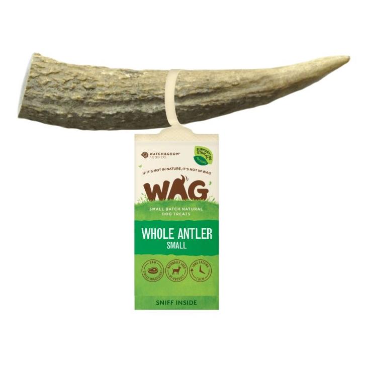 Wag Naturally Long Lasting Whole Deer Antler Dog Treats (122922000002) [default_color]