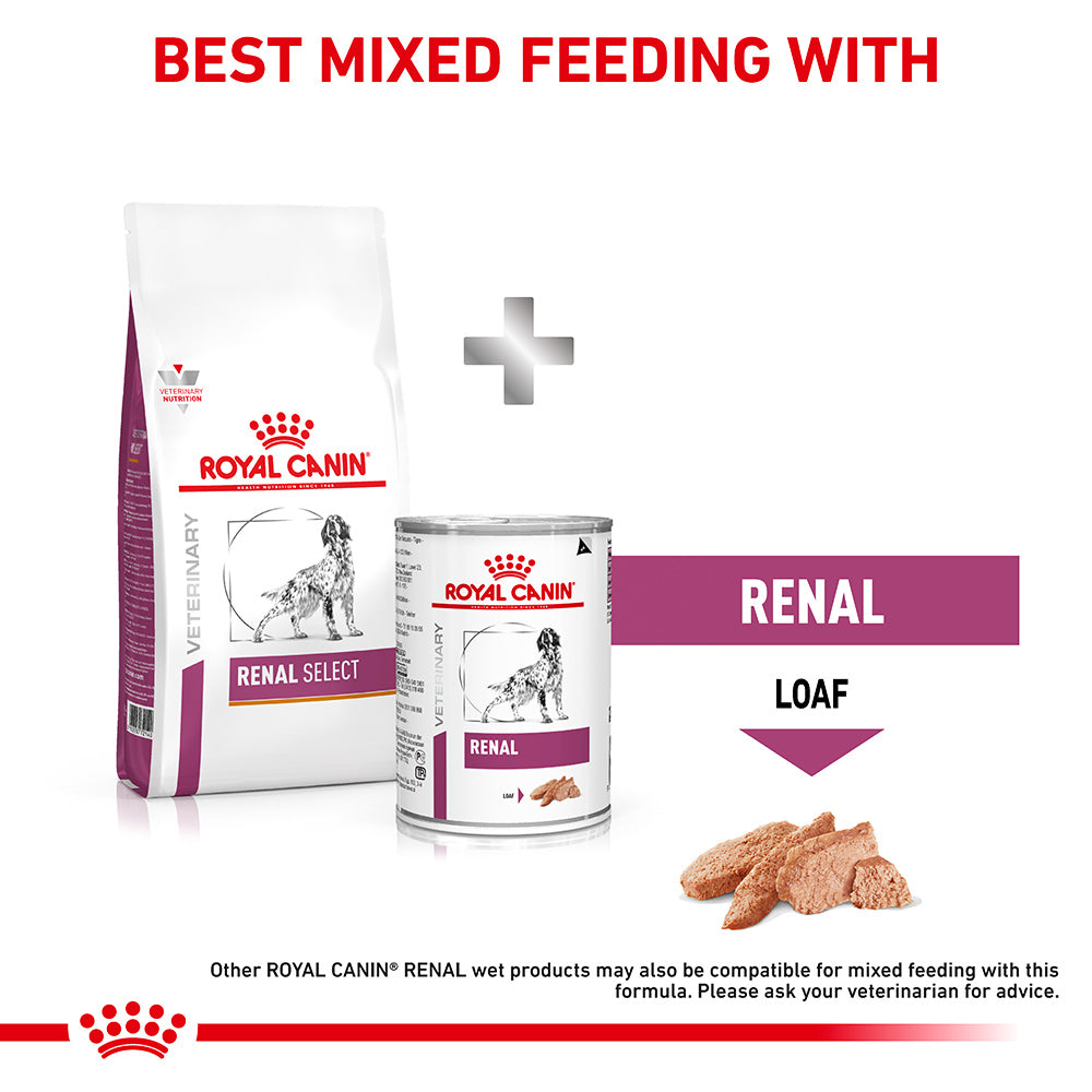 ROYAL CANIN VETERINARY DIET Renal Select Adult Dry Dog Food 2kg (123012000134) [default_color]