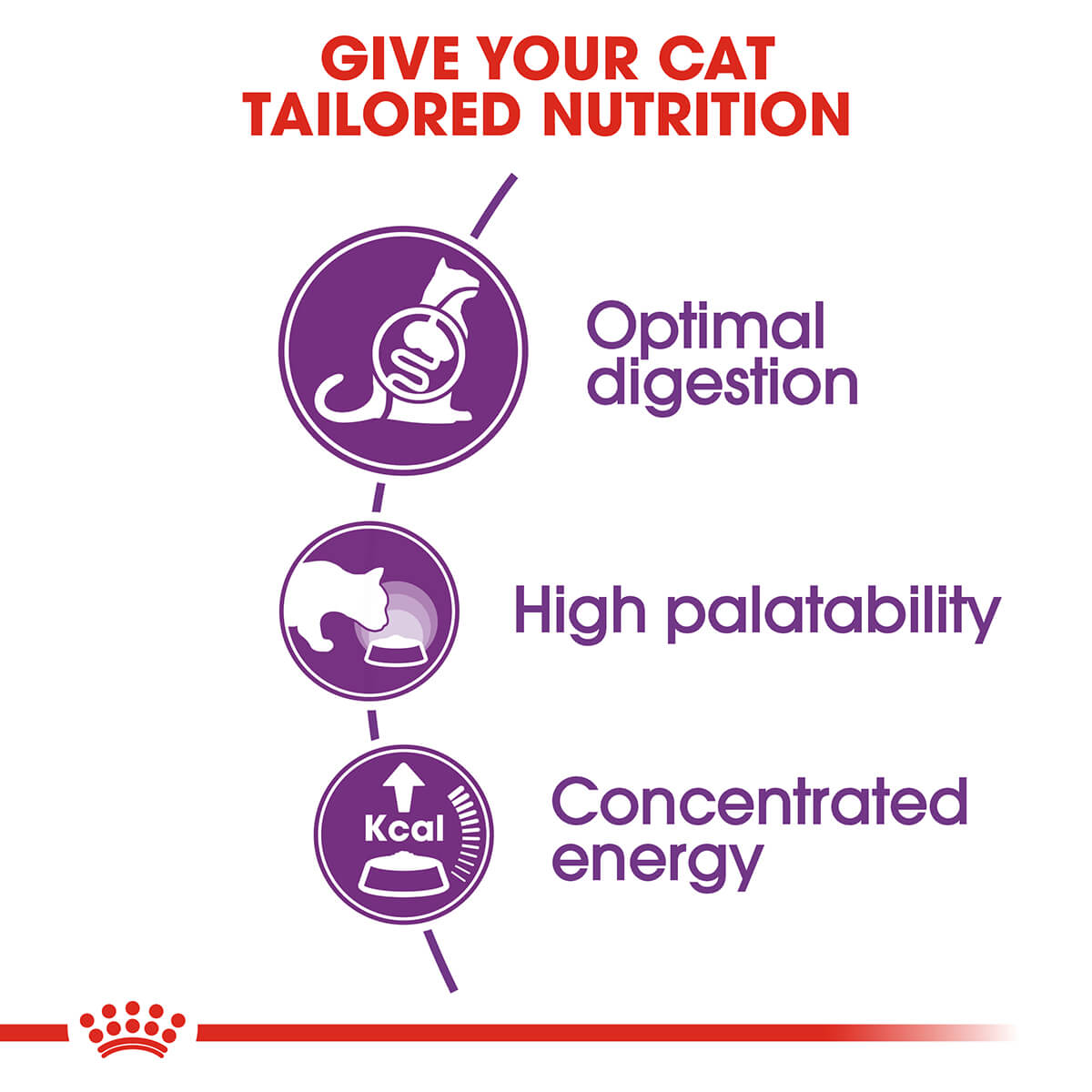 Royal Canin Sensible Digestion Adult Dry Cat Food (132622000010) [default_color]