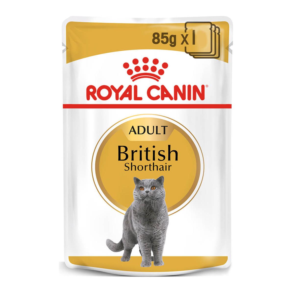 Royal Canin British Shorthair Adult In Gravy Wet Cat Food 85G