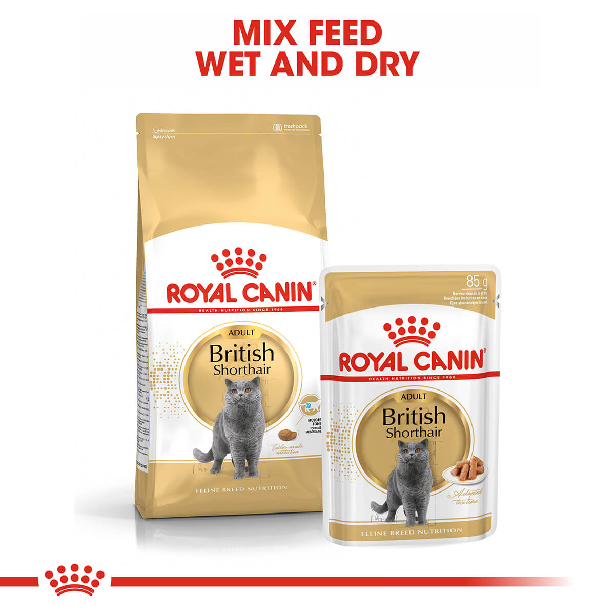 Royal Canin British Shorthair Adult In Gravy Wet Cat Food 85g (132622000106) [default_color]