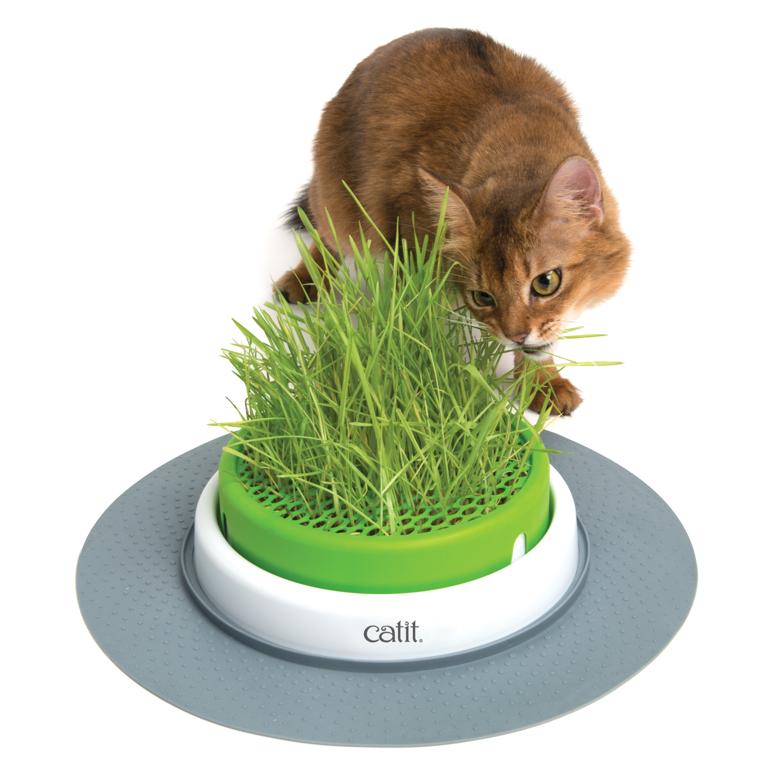 Catit Senses 2.0 Grass Planter (132913000416) [default_color]