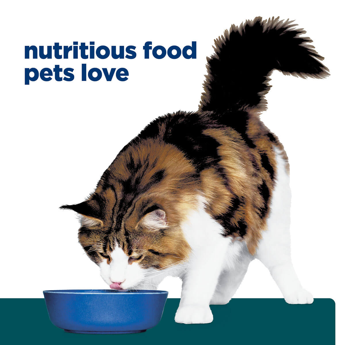 Hill's Prescription Diet W/D Digestive/Weight Management Dry Cat Food 1.5kg