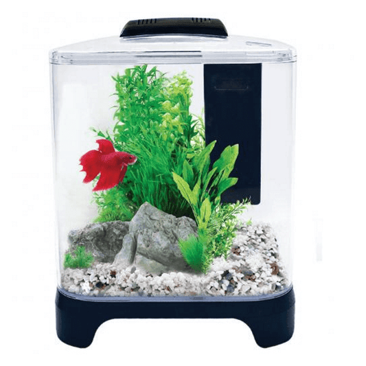 Aqua One Betta Haven Acrylic Aquarium 7L (153311000279) [default_color]