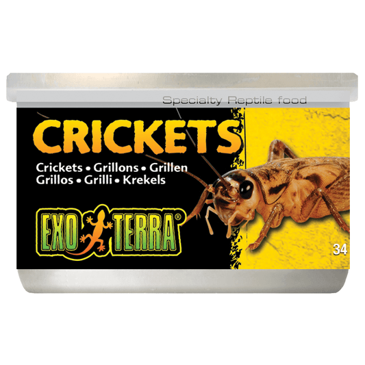 Exo Terra Small Crickets 34g (171515000010) [default_color]