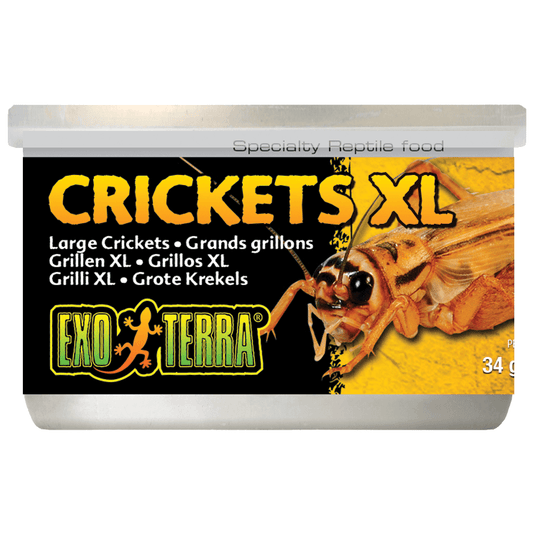 Exo Terra X Large Crickets 34g (171515000012) [default_color]