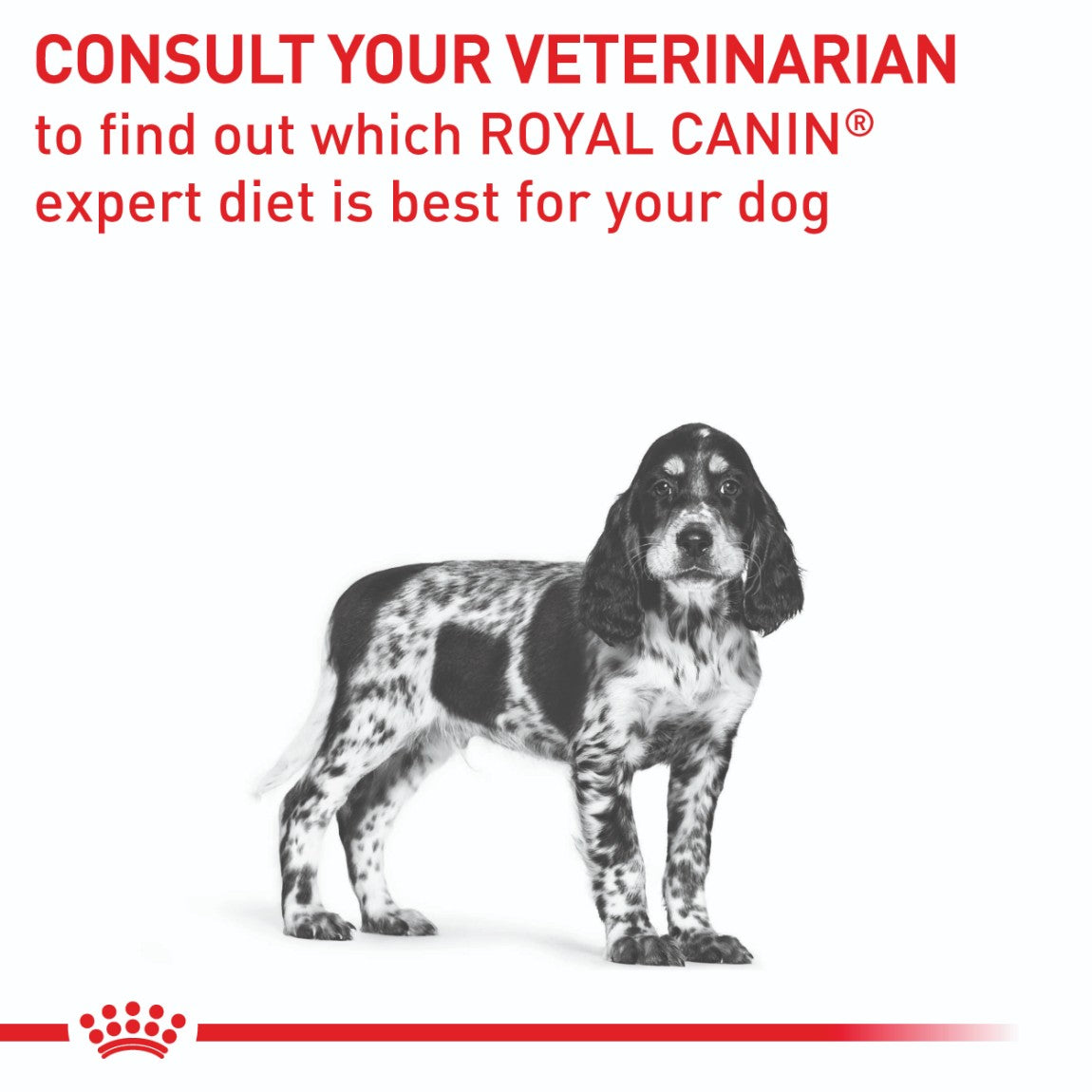 Royal Canin VHN Neutered Junior Medium Dog Dry Food 10kg