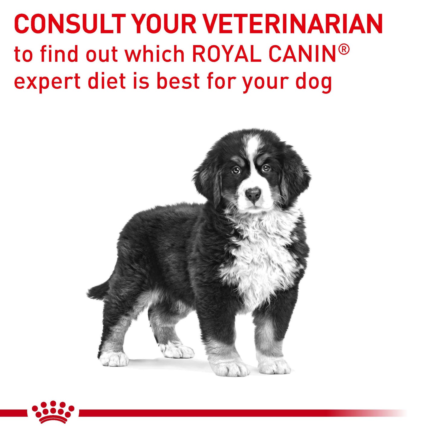 ROYAL CANIN VETERINARY DIET Neutered Junior Large Dog Dry Food 12kg