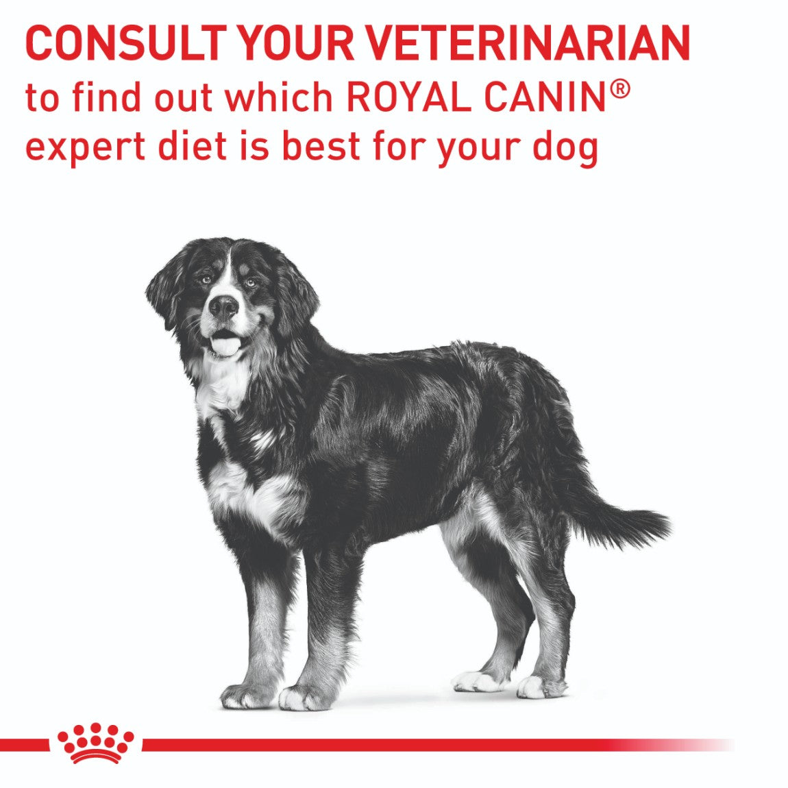 Royal Canin VET Large Breed Neutered Adult Dry Dog Food 12kg