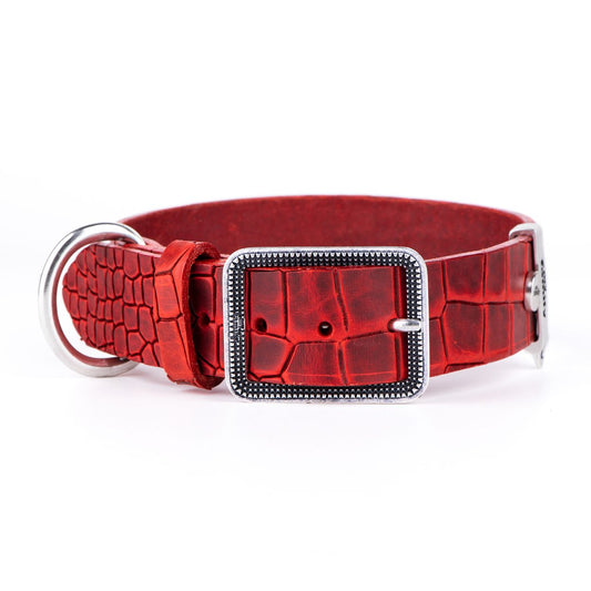 My Family Tucson Leather Collar