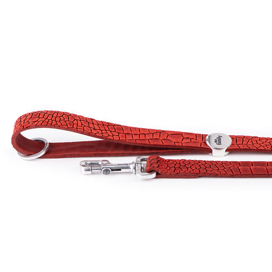 My Family Tucson Leather Leash