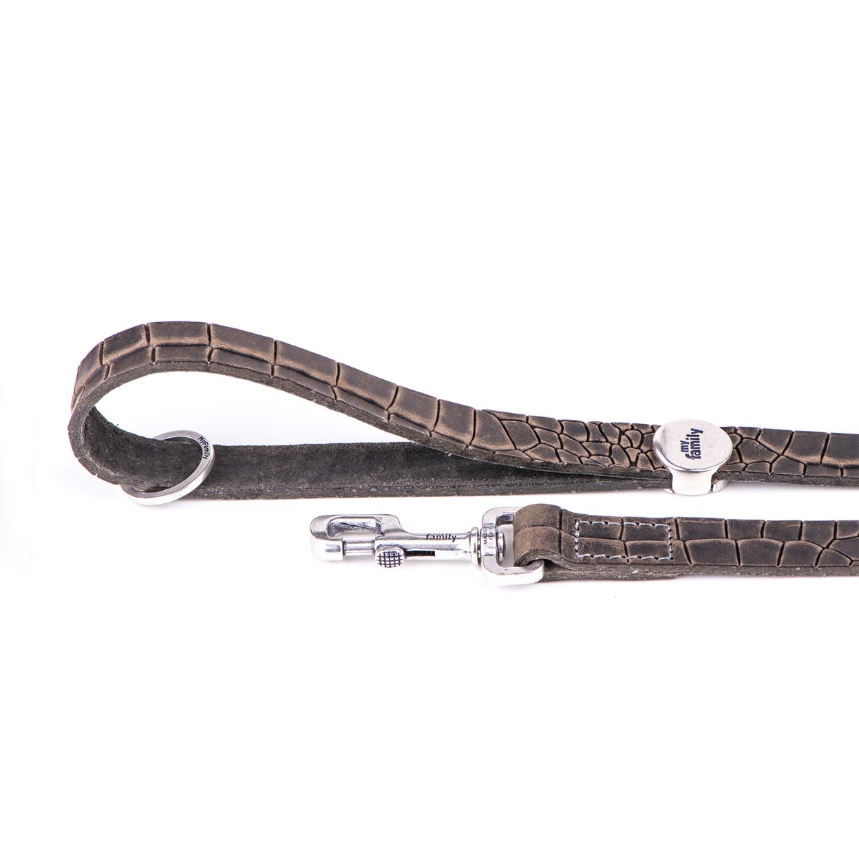 My Family Tucson Leather Leash