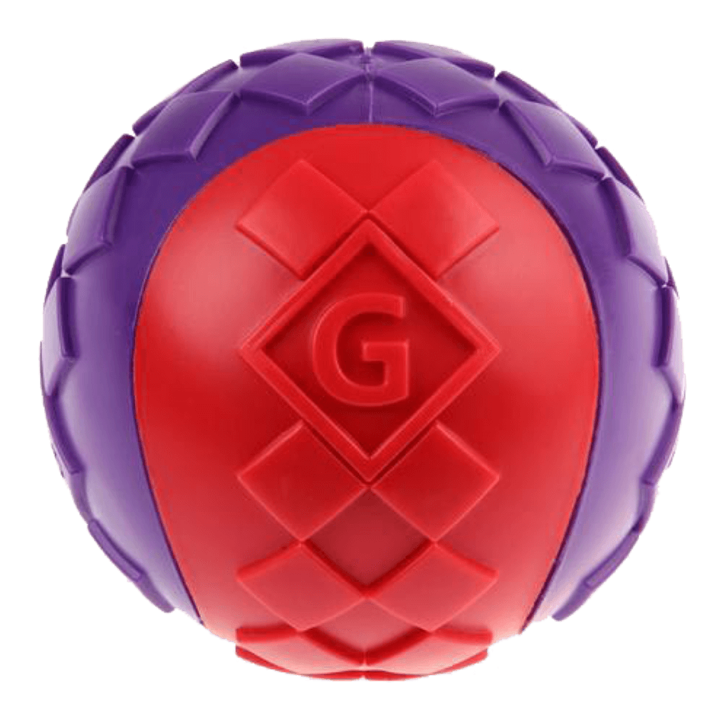 Gigwi Ball Dog Toy Small