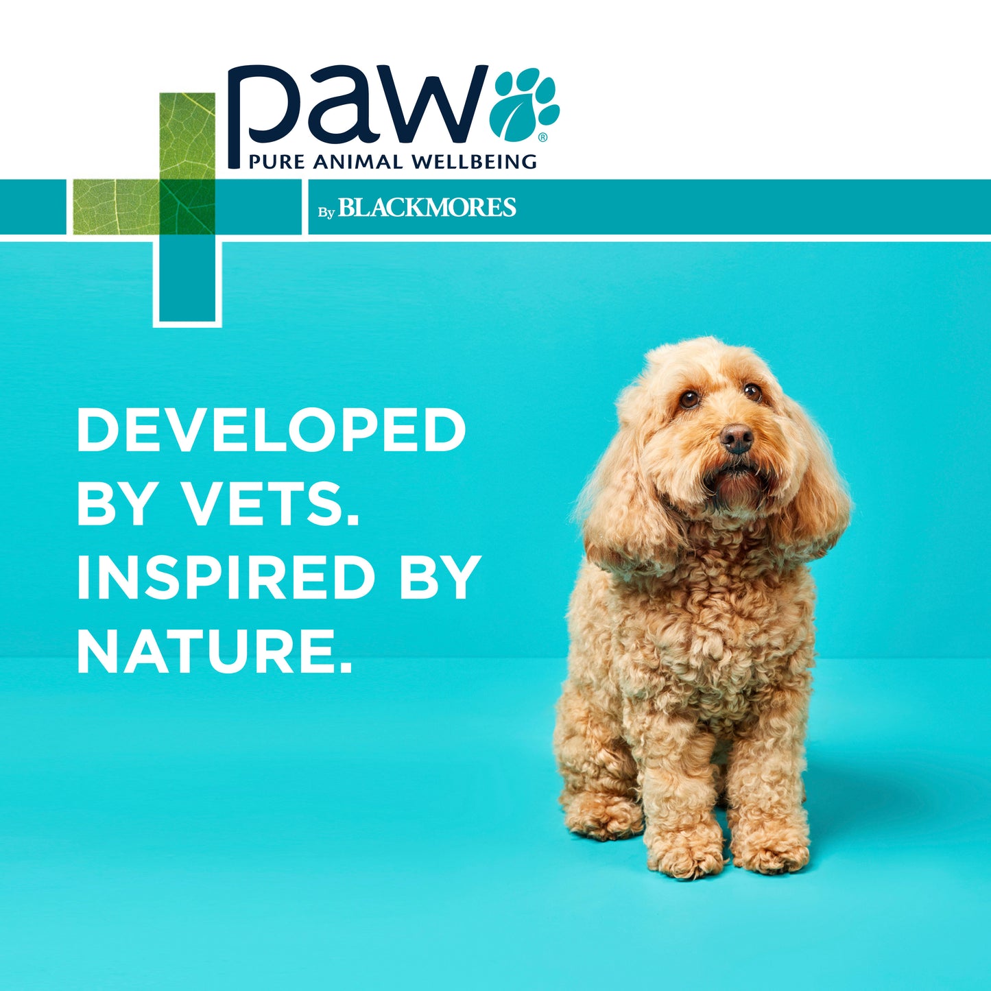 PAW Osteocare Joint Health Chews