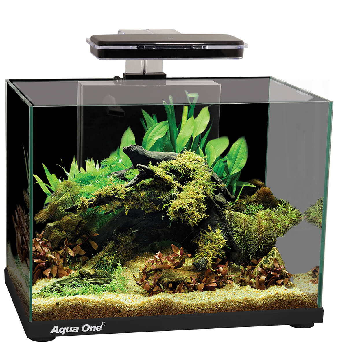 Aqua One Focus 25L Glass Aquarium