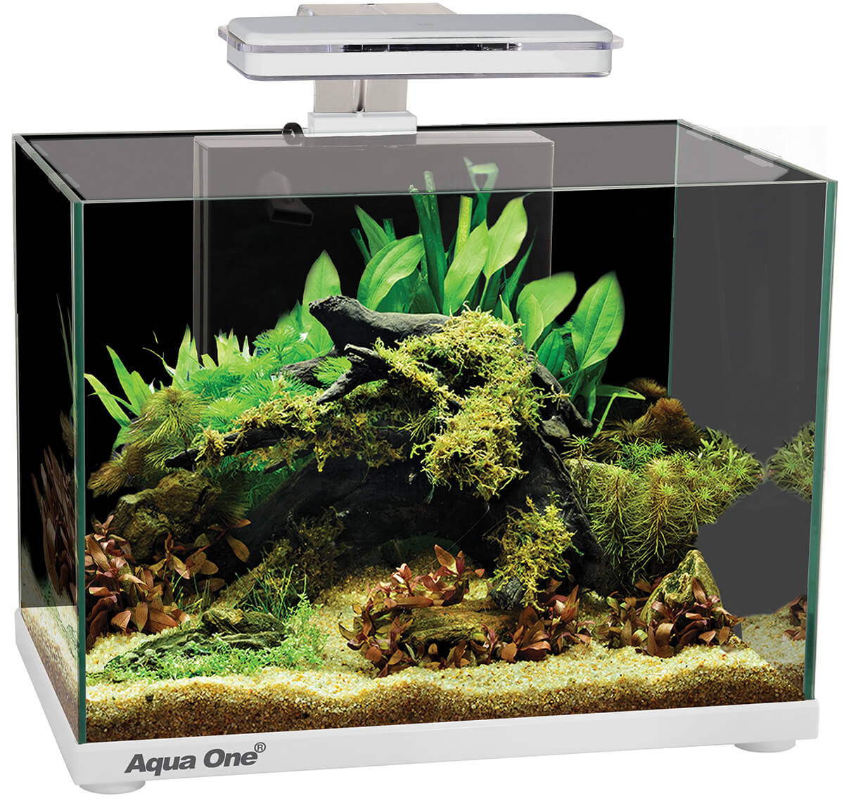 Aqua One Focus 25L Glass Aquarium