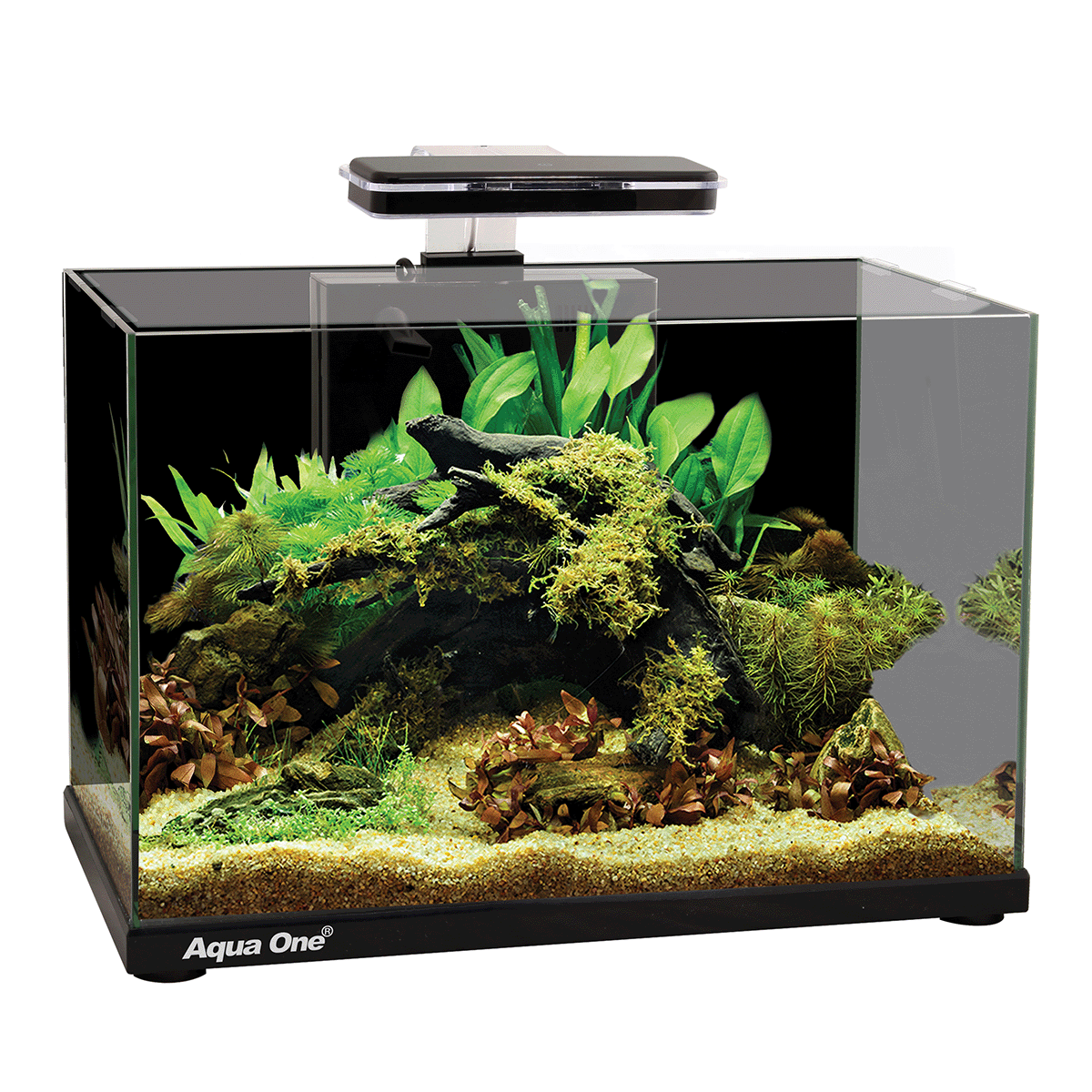 Aqua One Focus 36L Glass Aquarium