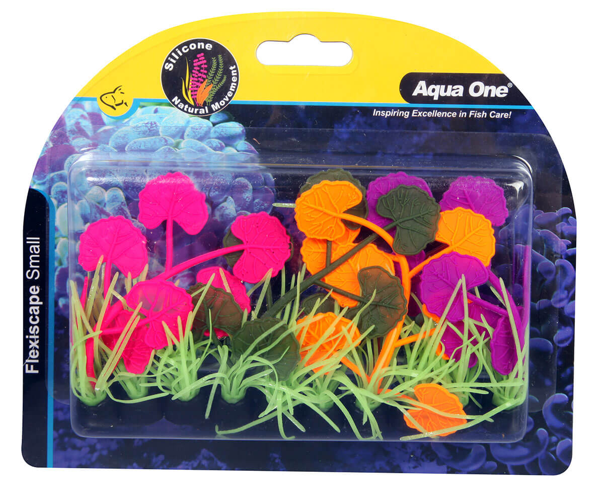 Aqua One Flexiscape Pennywort