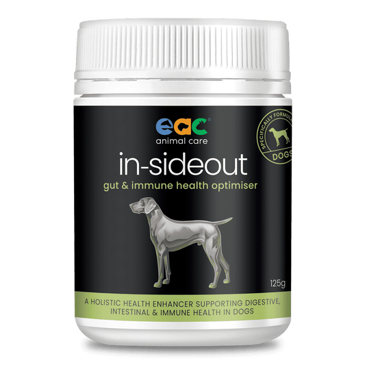 Evolution Inside Out Supplement Supplement for Dogs