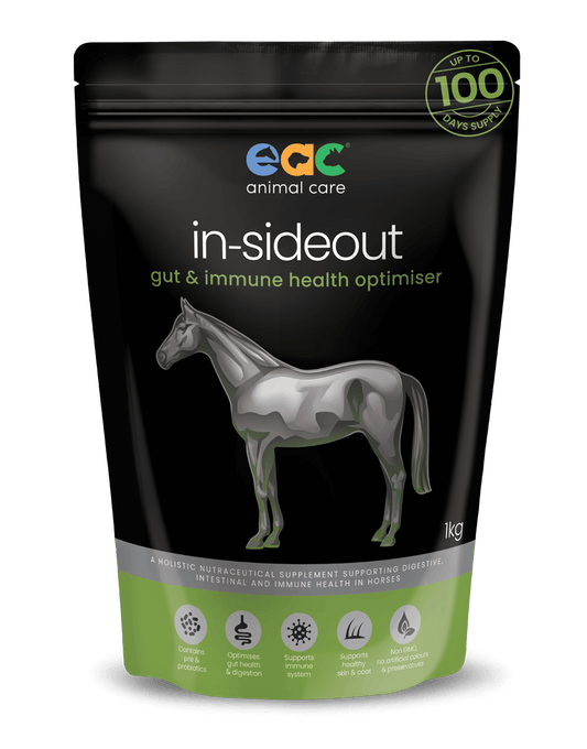 Evolution Inside Out Supplement for Horses