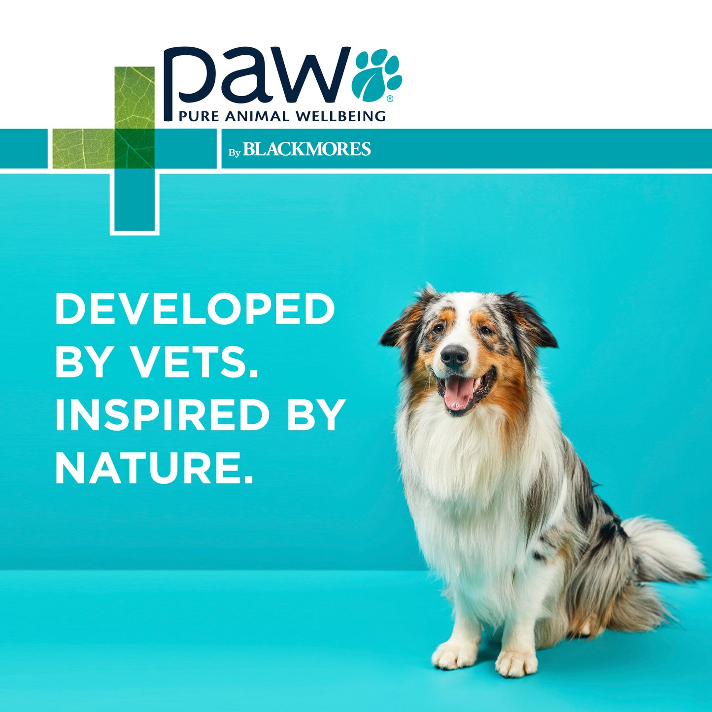 PAW - Osteosupport - Joint Care Capsules for Dogs