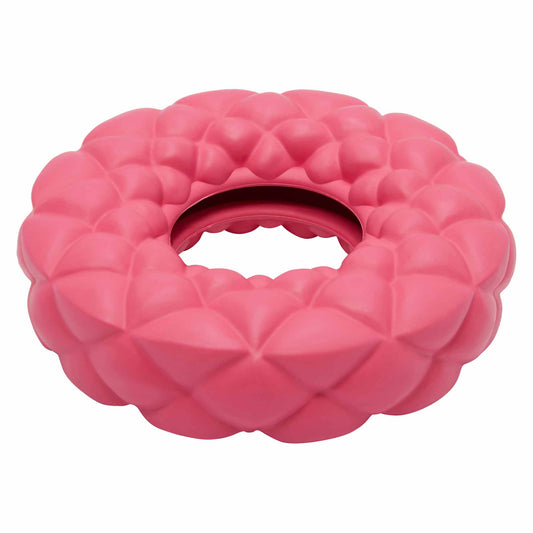 Lexi & Me Rubber Ring Dog Toy
