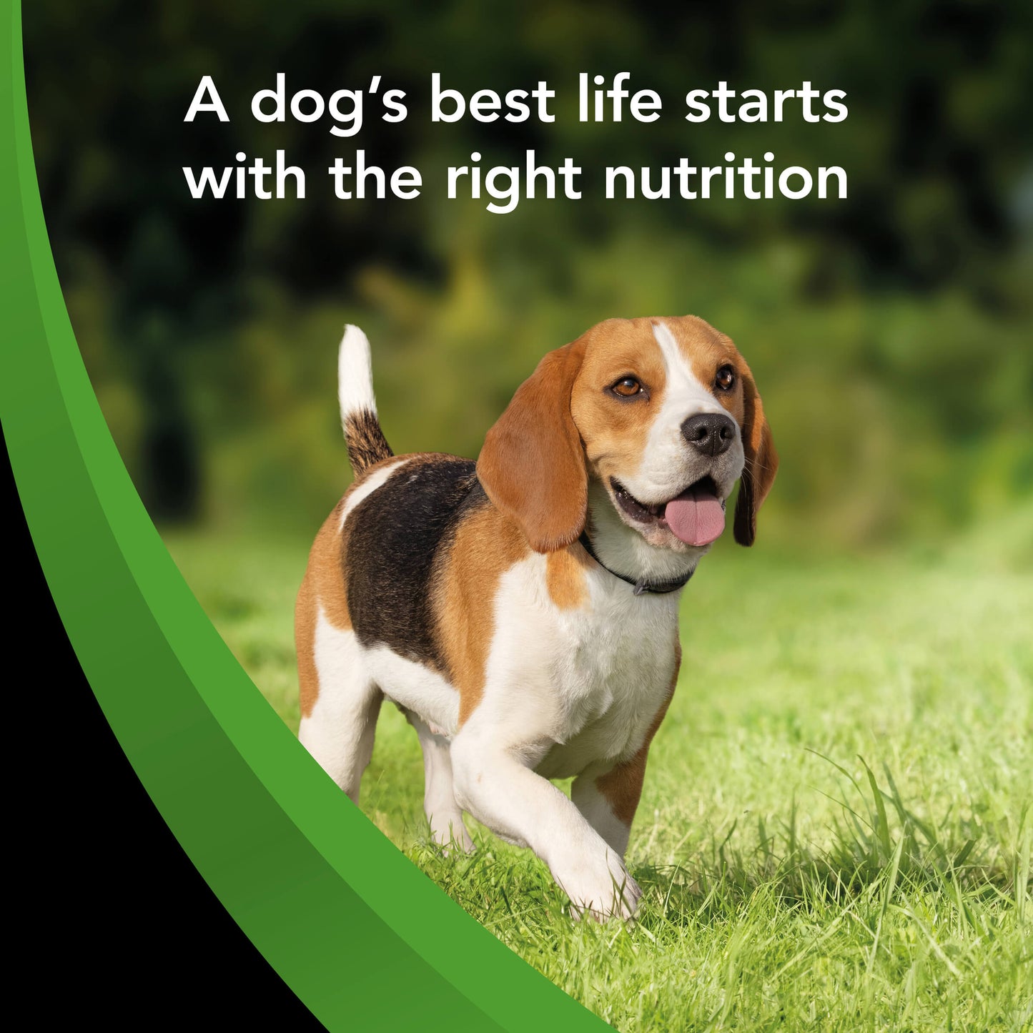 Supercoat Healthy Weight Adult Chicken Dry Dog Food