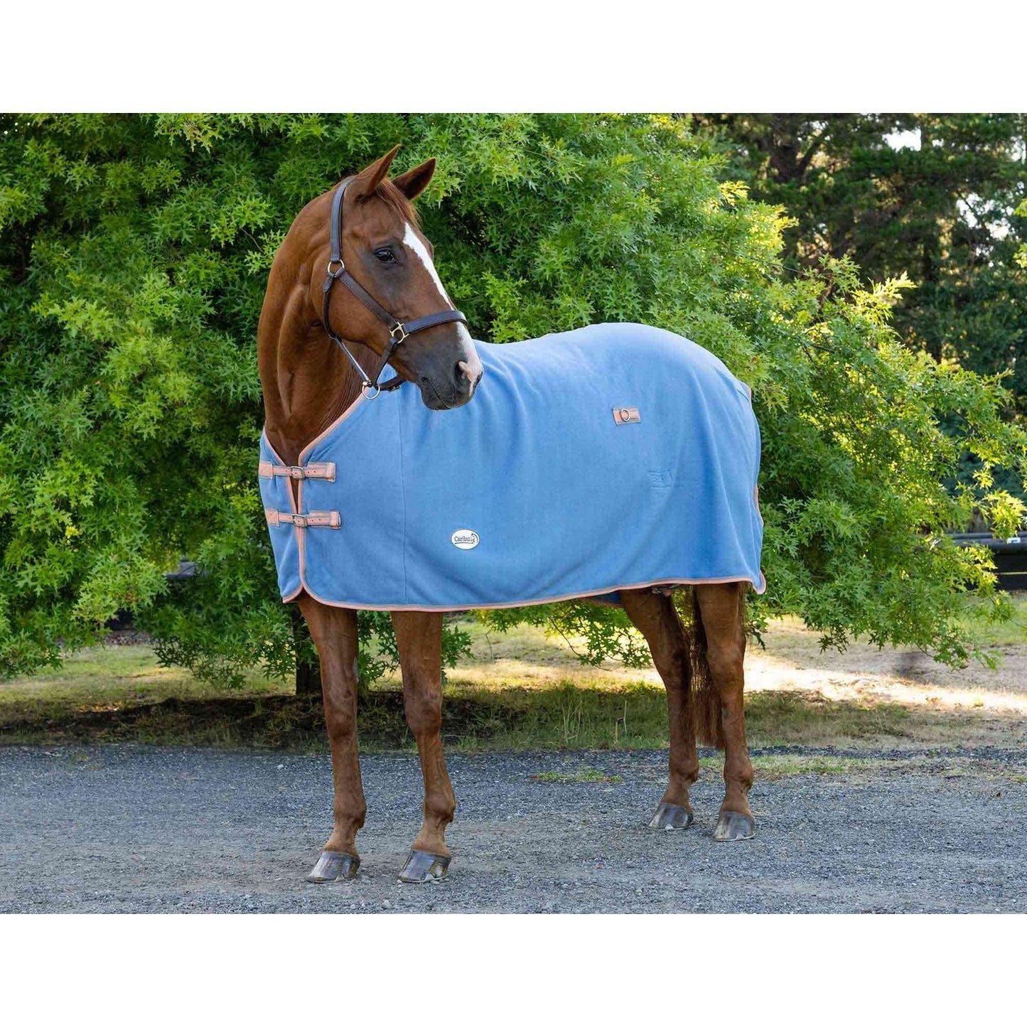 Caribu Kozzi Polar Fleece Rug