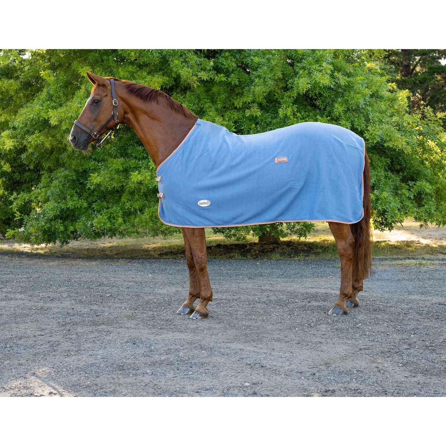 Caribu Kozzi Polar Fleece Rug